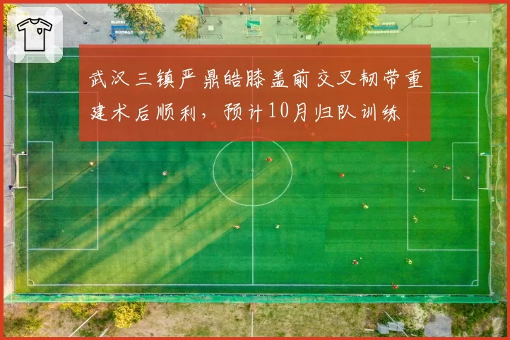 武汉三镇严鼎皓膝盖前交叉韧带重建术后顺利，预计10月归队训练