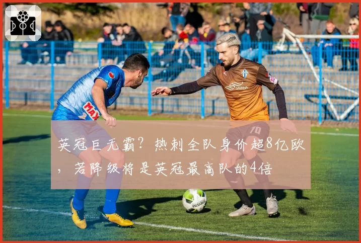 英冠巨无霸?热刺全队身价超8亿欧,若降级将是英冠最高队的4倍